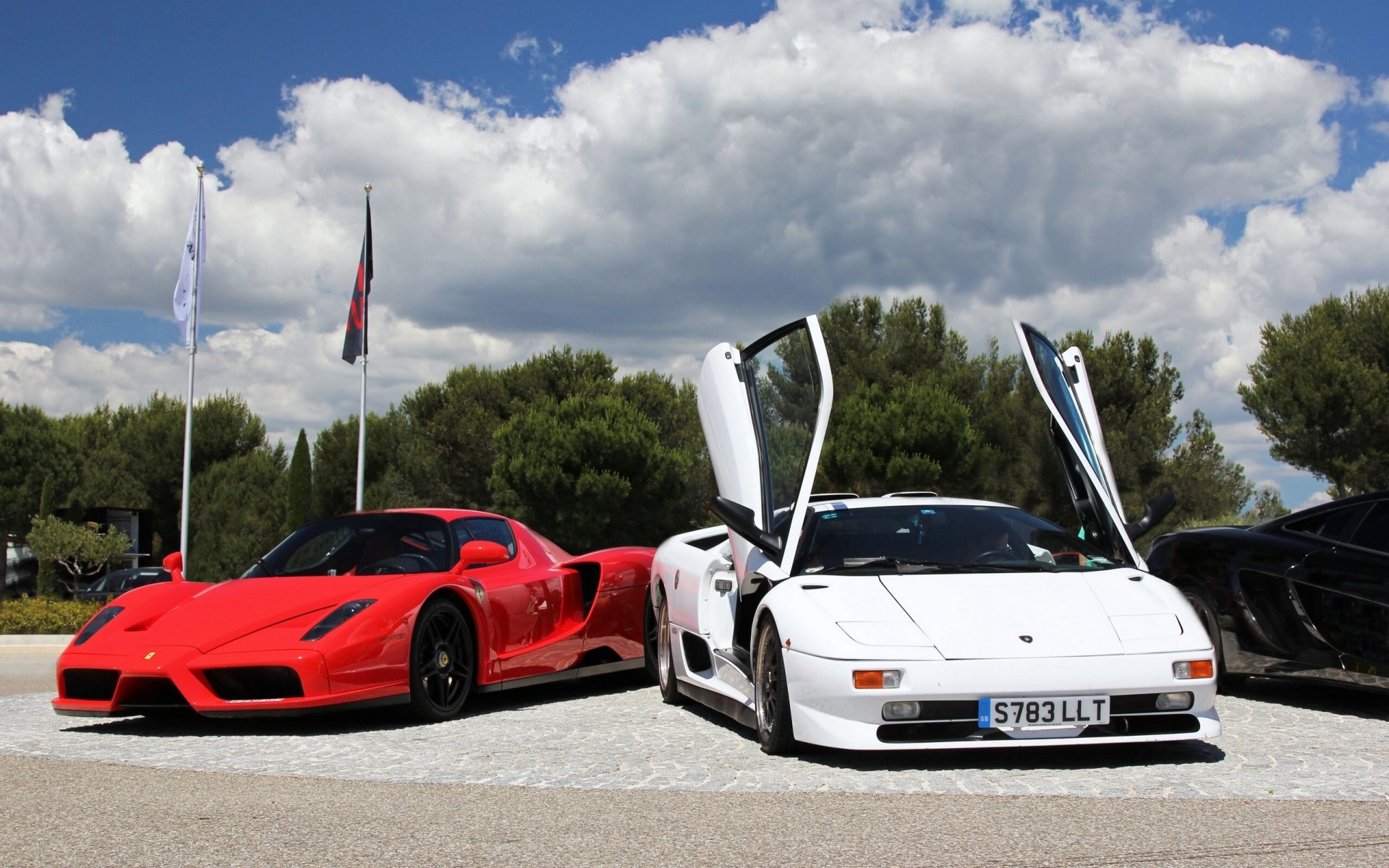 ferrari enzo lamborghini