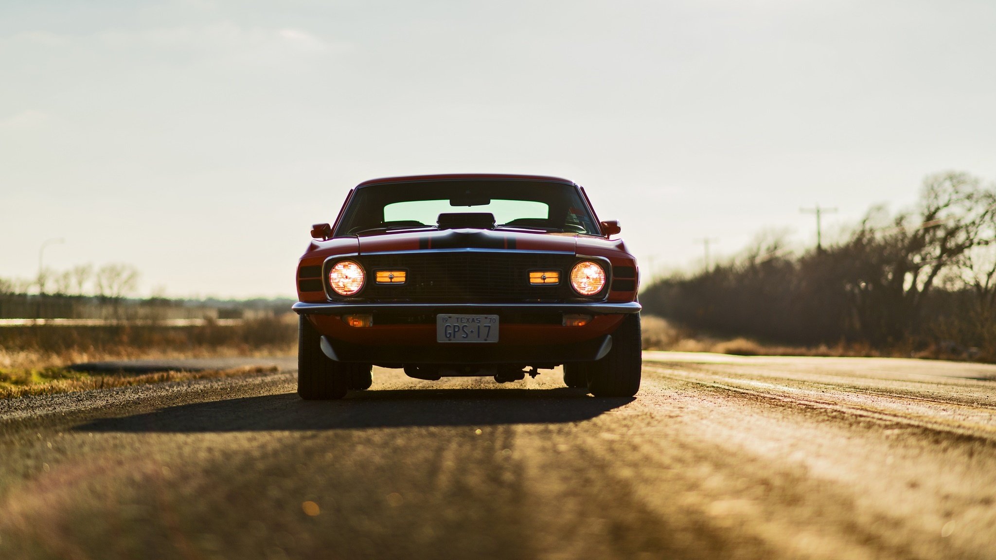 ford mustang mach 1 muscle car