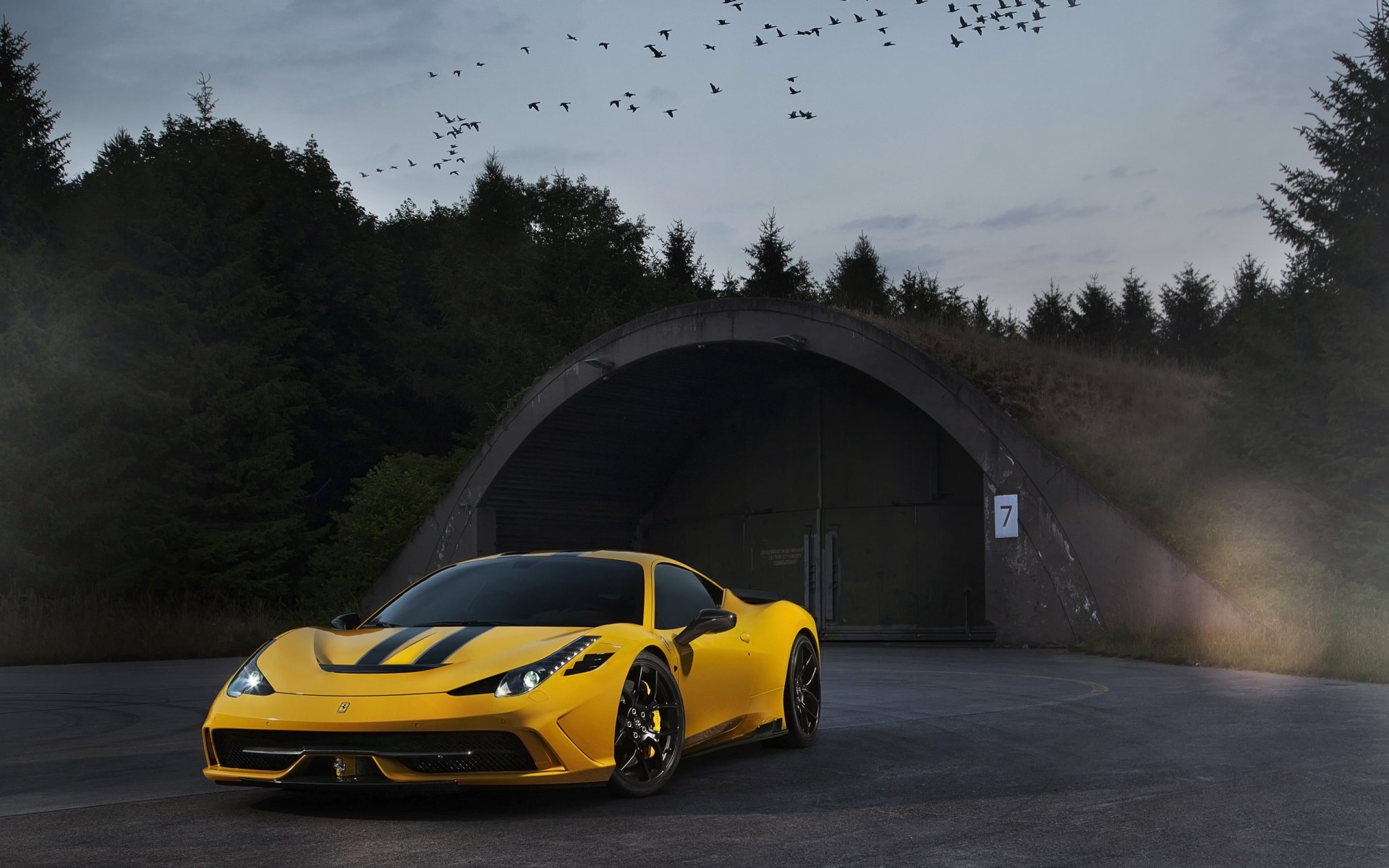 ferrari 458 speciale jaune ferrari crépuscule oiseaux ciel