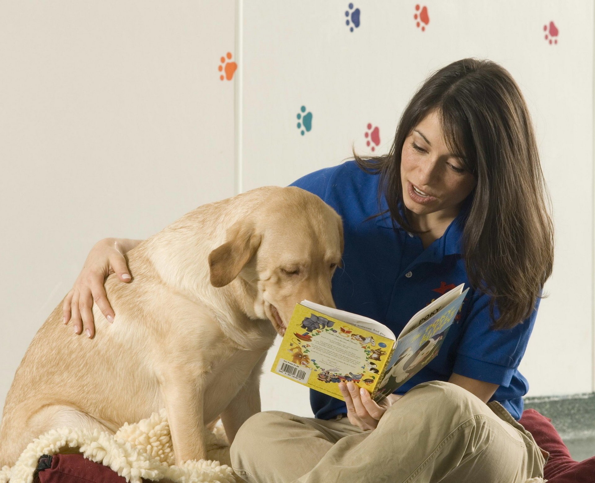 lettura retriever cane ragazza amici mente libro amicizia animali cani woof-woof-ry-ry modelli di moda brune