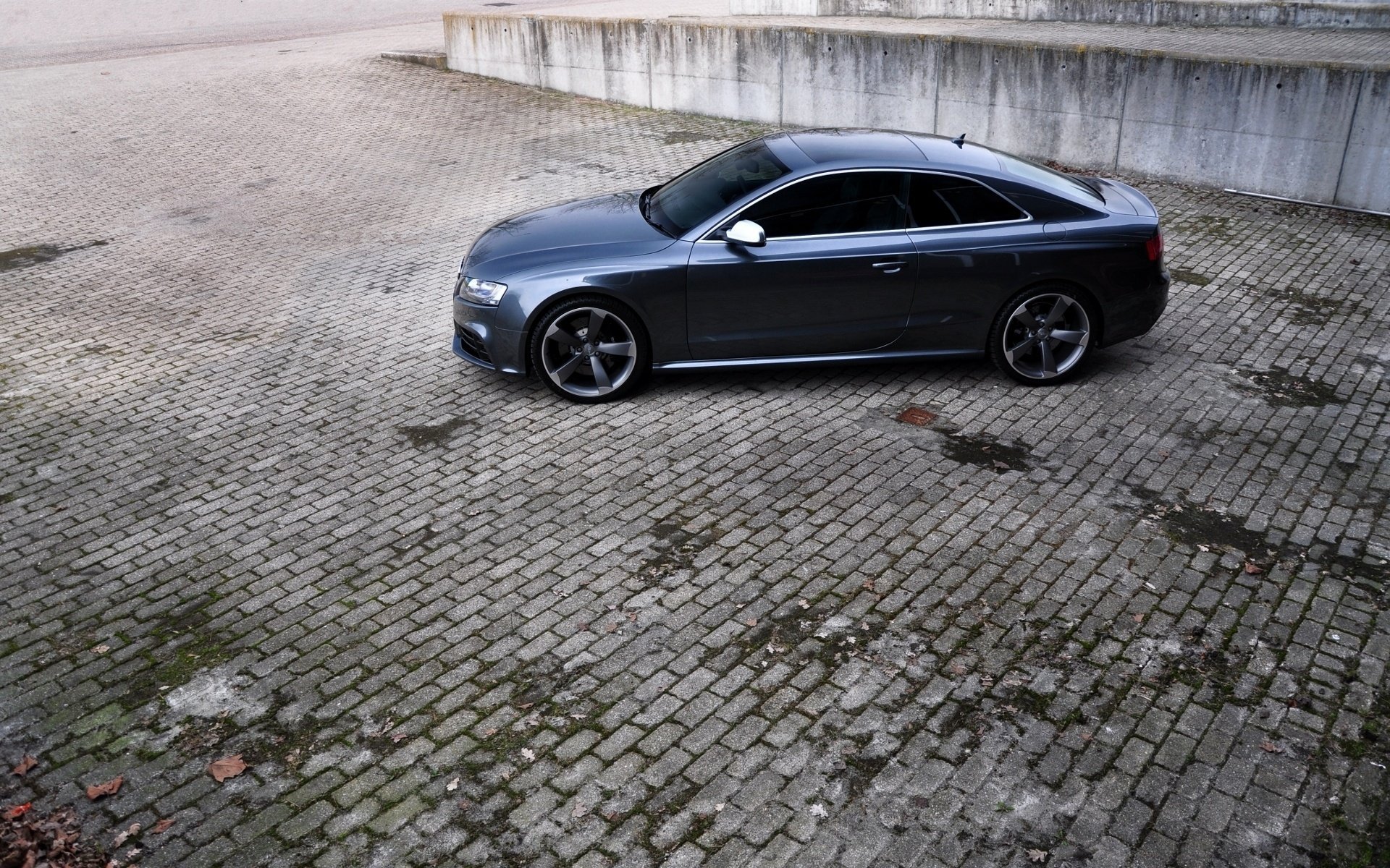 audi auto photo audi cars rs5 auto wallpaper cars auto wallpapers car profile dark car pavement wheels passenger cars cars auto transport motor transport