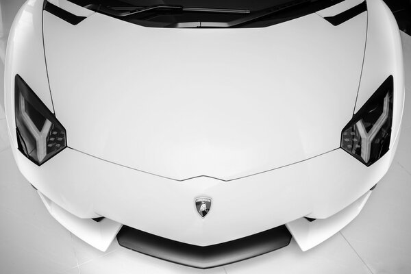 The white Lamborghini is beautiful in its simplicity