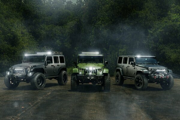 Trois Jeep sont allés à la flèche dans la forêt