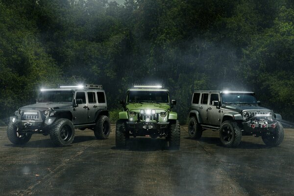 Tre jeep hanno guidato la freccia nella foresta