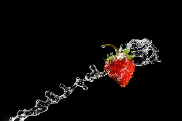 Delicious strawberries with fresh water