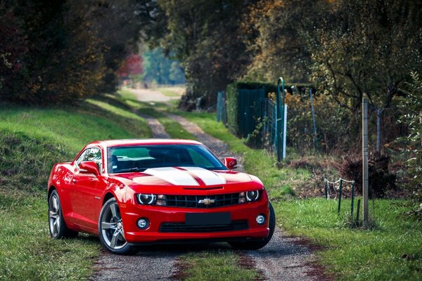 Rouge huile chevrolet camaro