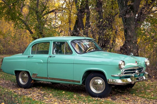 Volga verte dans la rue d automne