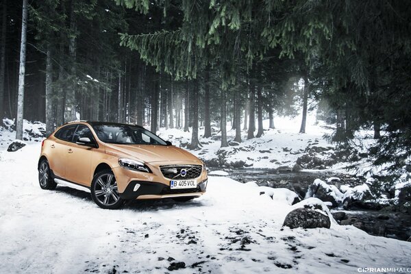 Increíble Volvo en el bosque fuera de la carretera