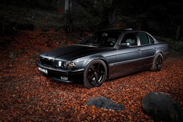 Máquina gris oscuro en el bosque nocturno