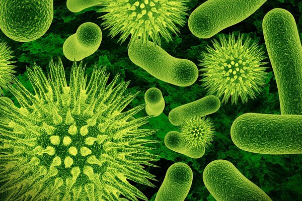 Green microorganisms will determine the future of biology