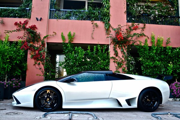 There is a chic white Lamborghini at the house