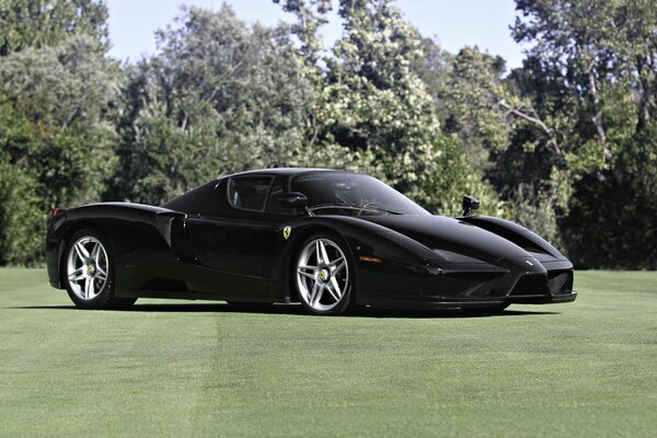 Schicker Ferrari auf dem Rasen im Park