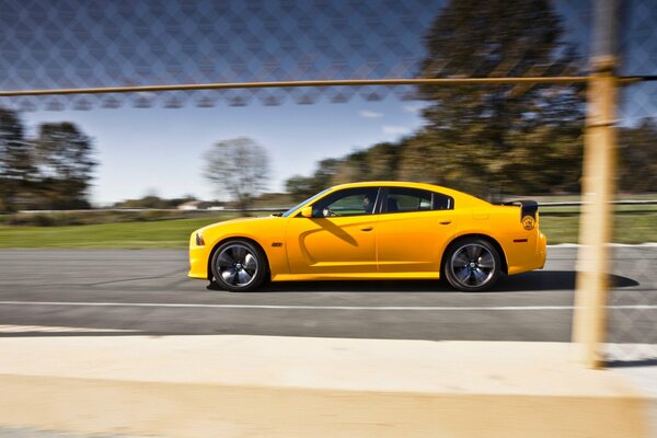 Dodge yellow side view, in the back