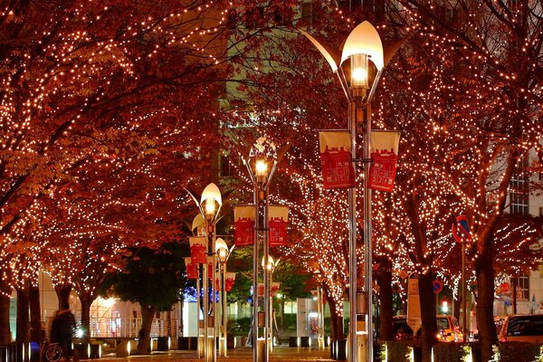 A street decorated with garlands and flags