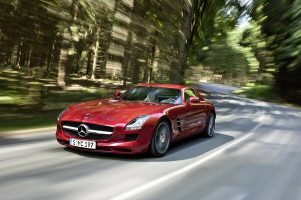 Red Mercedes is driving in the woods at high speed