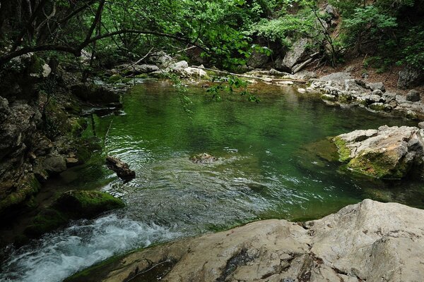 Sauberes Wasser des großen Krimschlucht