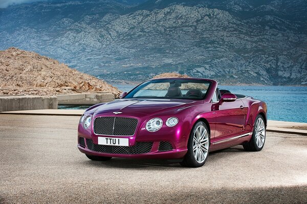 Bentley en un hermoso paisaje