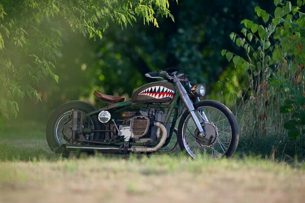 Das Foto des Motorrads auf dem Tank zeigt den Kiefer eines Hais
