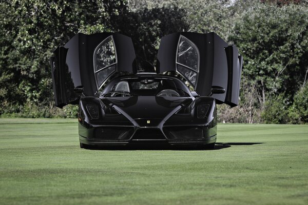 Black Ferrari with the doors open up on the lawn