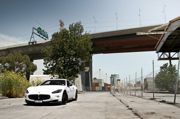 Maserati blanco debajo del puente cerca de la cerca