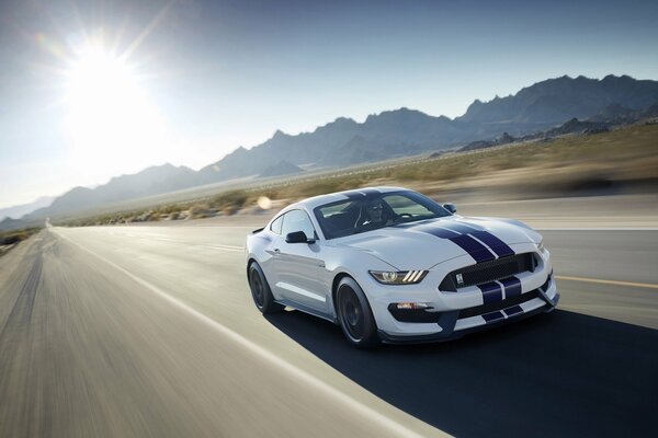 Ford mustang shelby white 2016