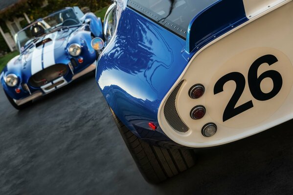 Two sports cars of azure colors reflect the silhouettes of palm trees