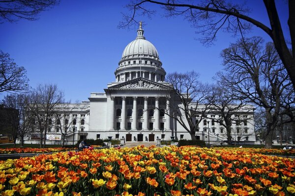 A park strewn with tulips and a large building behind it