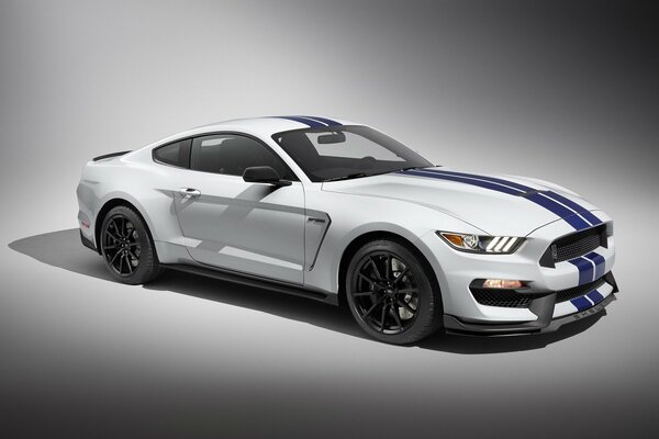 Ford mustang shelby white