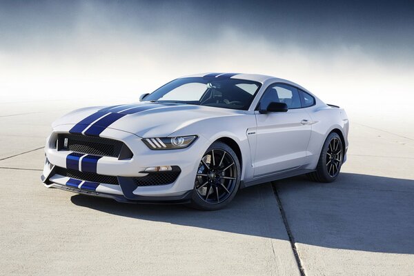Ford Mustang Shelby 2016 blanc