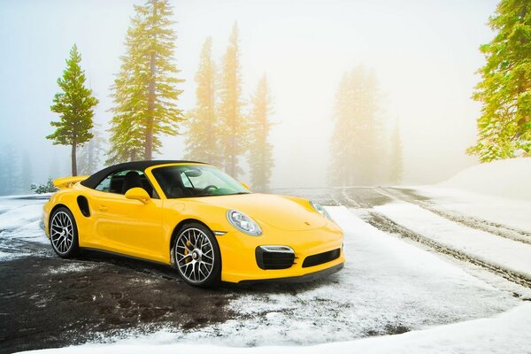 Voiture jaune dans la nature