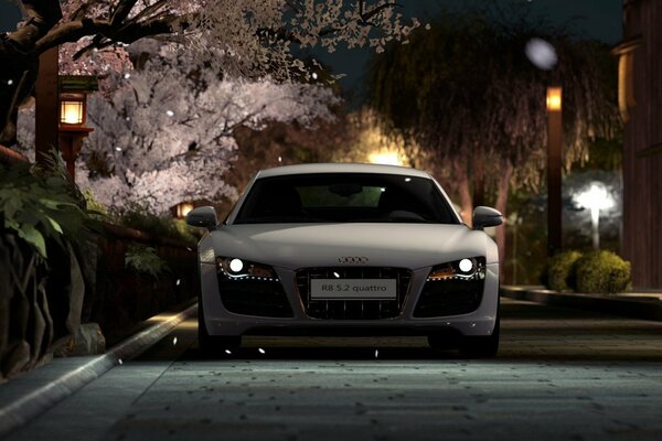 White Audi R8 on the road, driving along the sakura