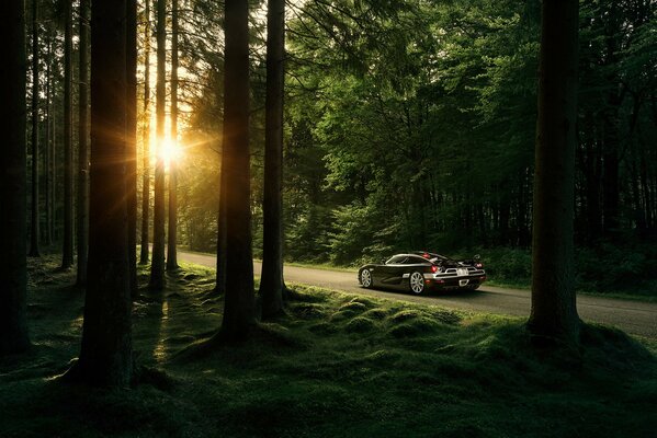 Schöner Wald und Supersportwagen koenigsegg ccxr