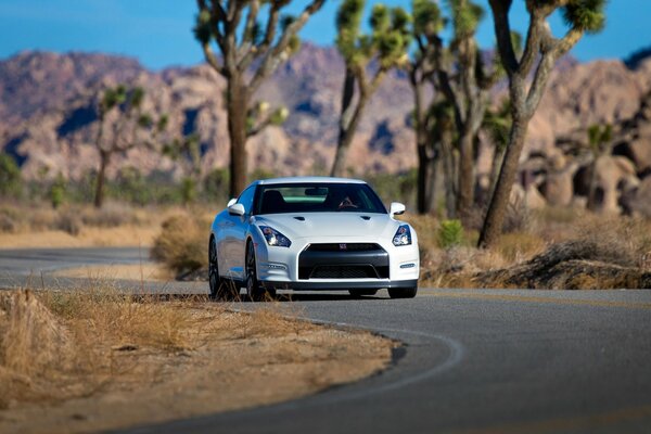 The desert becomes an oasis on a white car