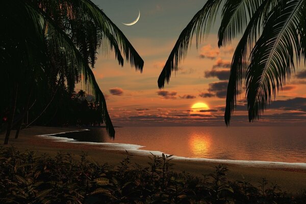 Paysage marin romantique avec palmiers, coucher de soleil et lune