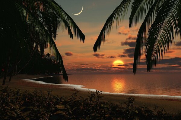 Романтичный морской пейзаж с пальмами, закатом и луной