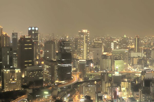 Die Lichter der Nachtmetropole und der Himmel im Nebel