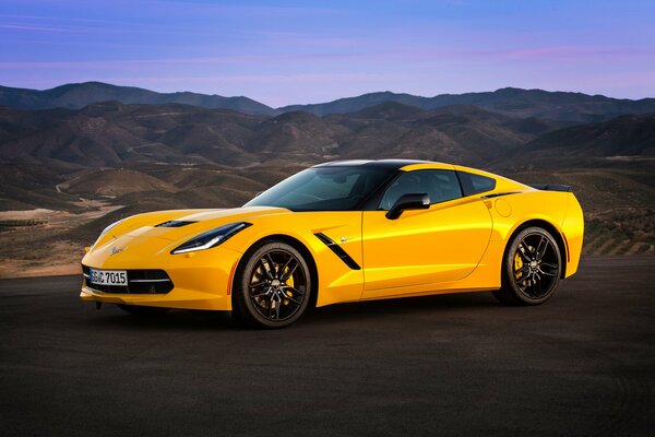 Chevrolet 2013 жёлтая stingray с7