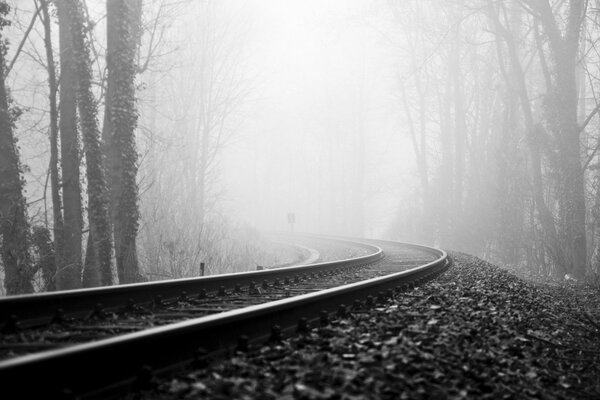 Railway in the misty forest