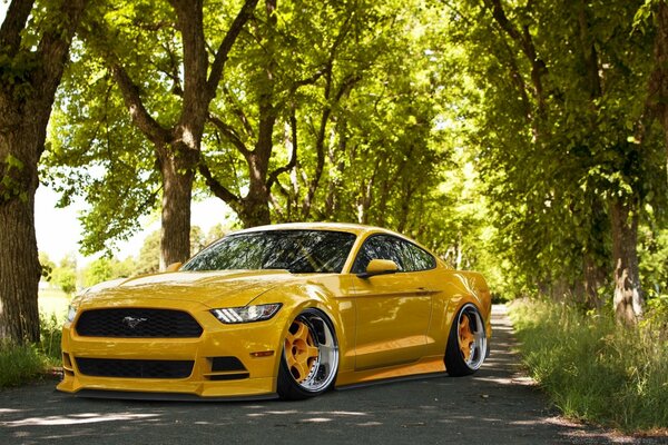 Voiture jaune Mustang sur une passerelle entre les arbres