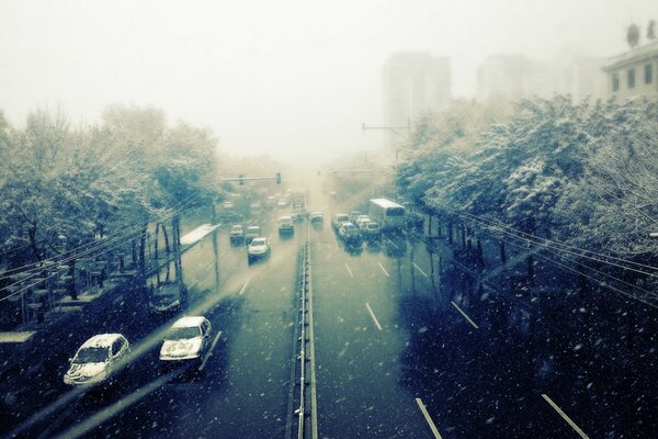 La strada per Tokyo con le auto