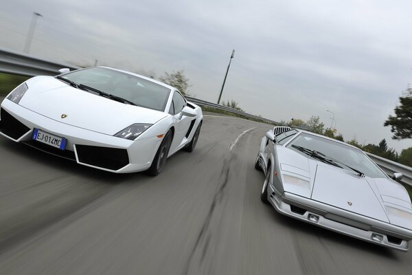 White Lamborghini and grey gallardo