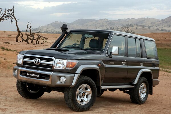 Black Toyota Car SUV that stands on the ground