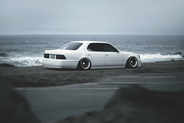 Lexus rides along the seashore