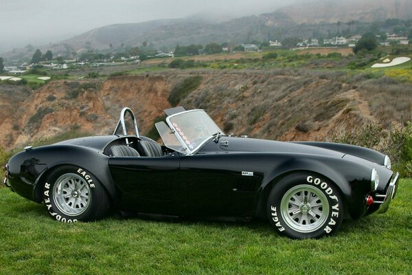 Shelby 1966 in black