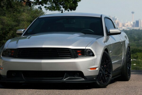 Szary Ford Mustang na drodze