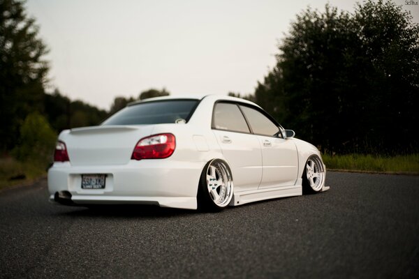 Tuninganaya Subaru Impreza Blanco en la carretera contra el fondo de los árboles