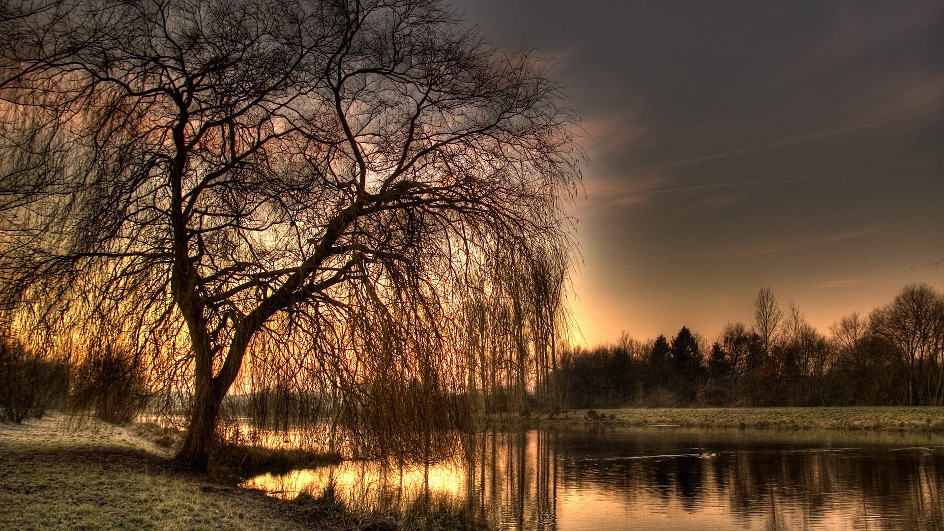 red ble natur fluss wald wasser bäume himmel sonnenuntergang landschaft zweige trockener baum abend ufer