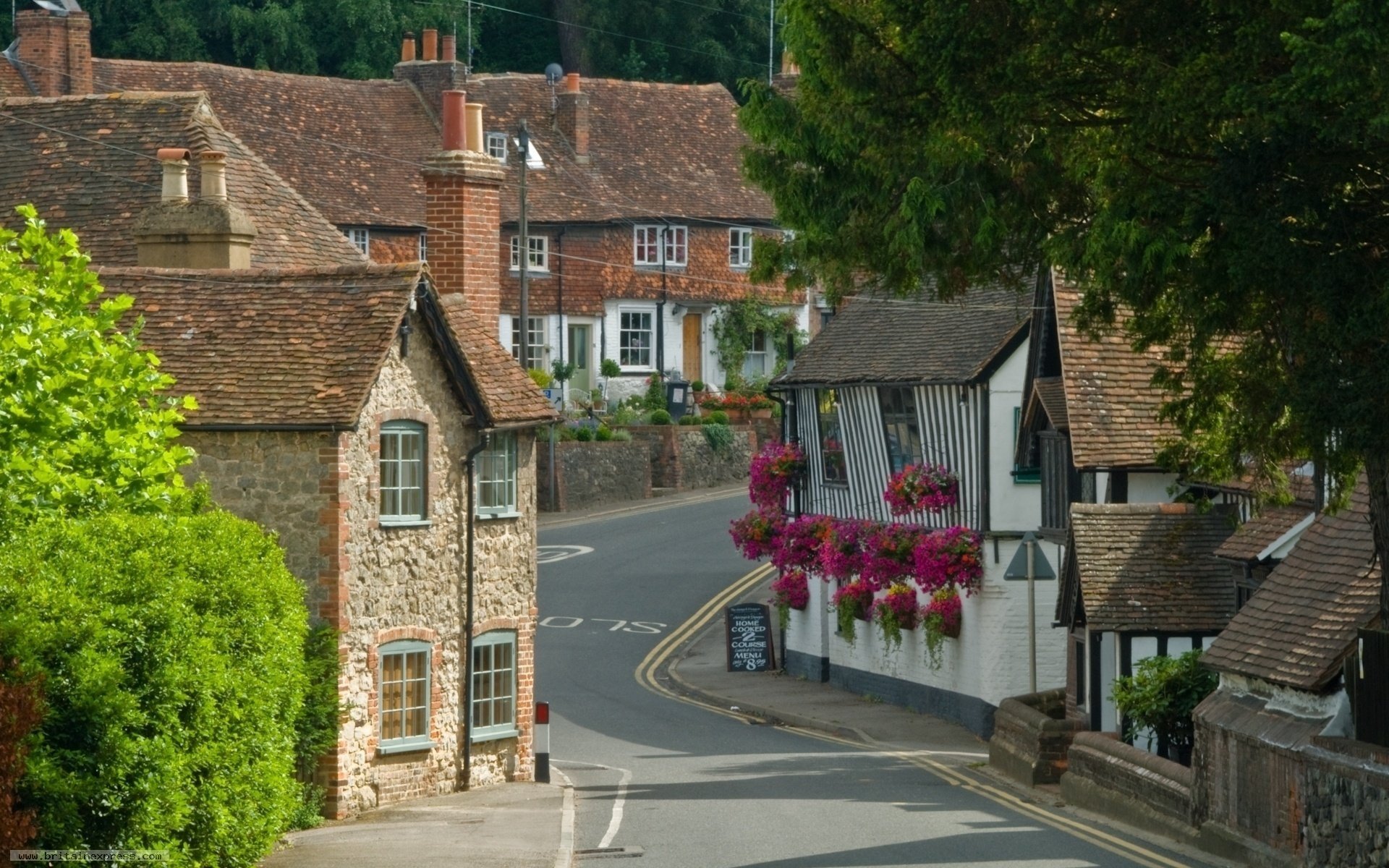 fleurs rue étroite tourner rue europe maisons architecture végétation verdure arbres route toits tuiles tourner villes bâtiments maisons kent village angleterre