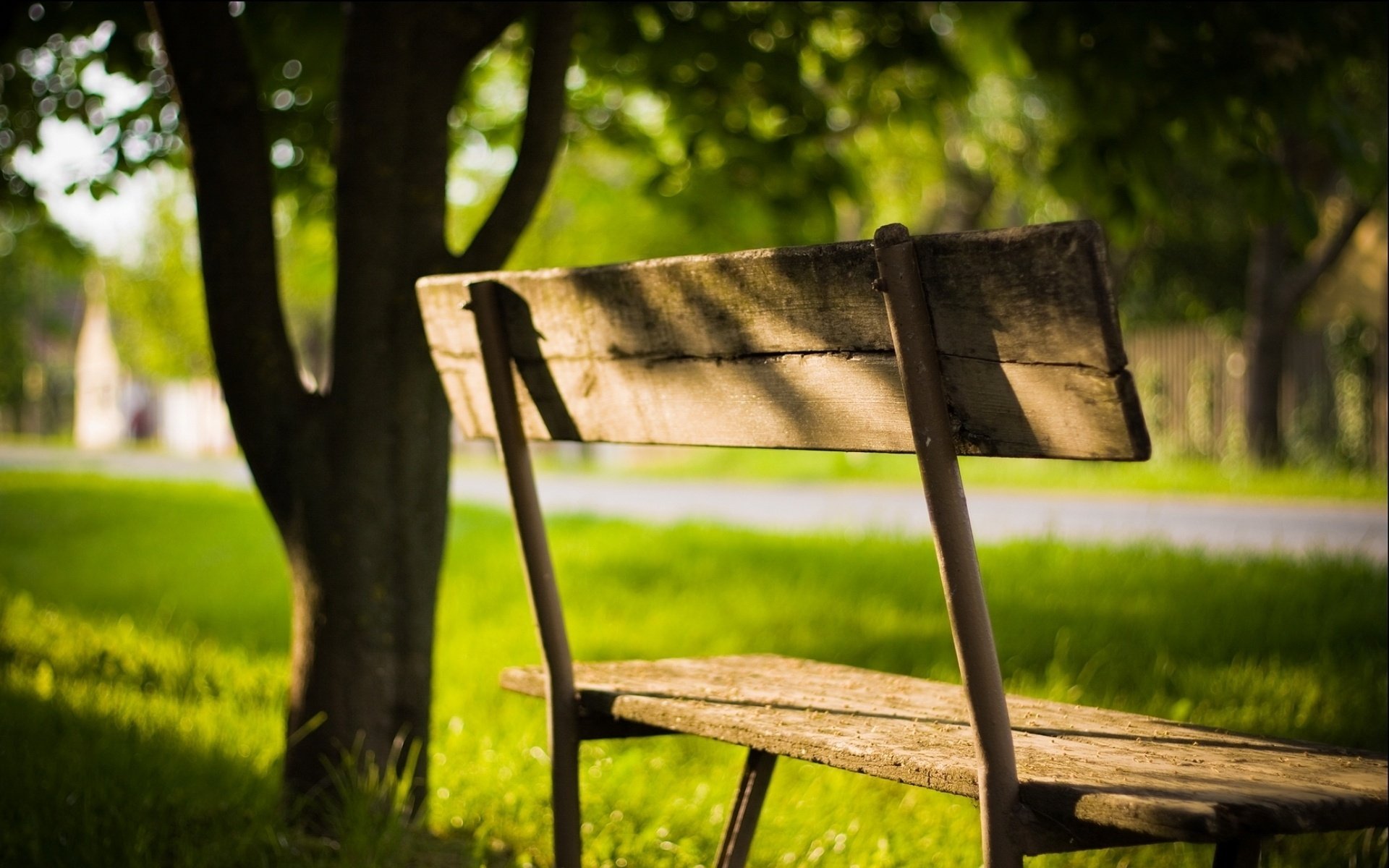 saf ciecierzyca park ławka drzewa zieleń