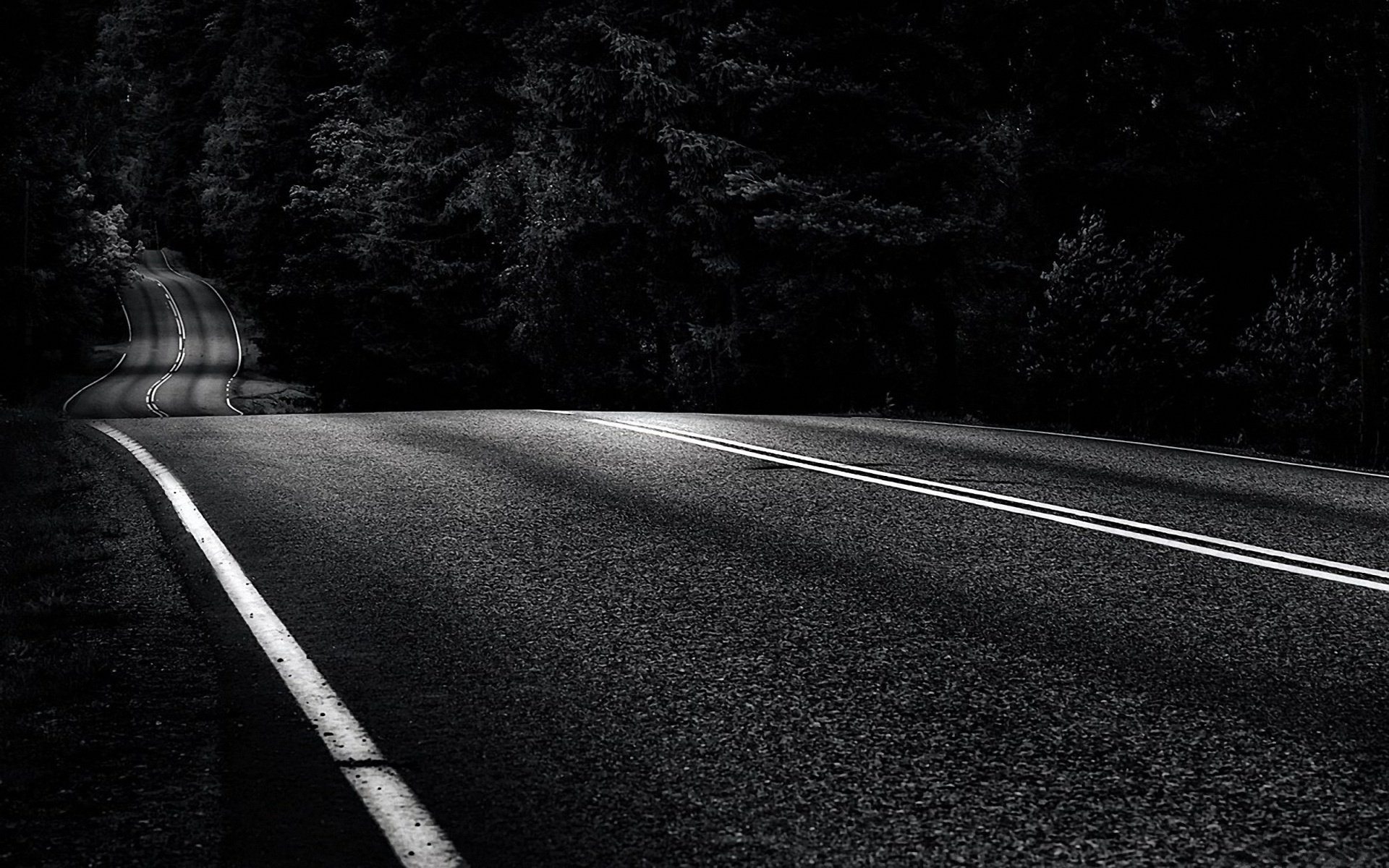 xer wenterasew route autoroute piste forêt noir et blanc marquage asphalte descente